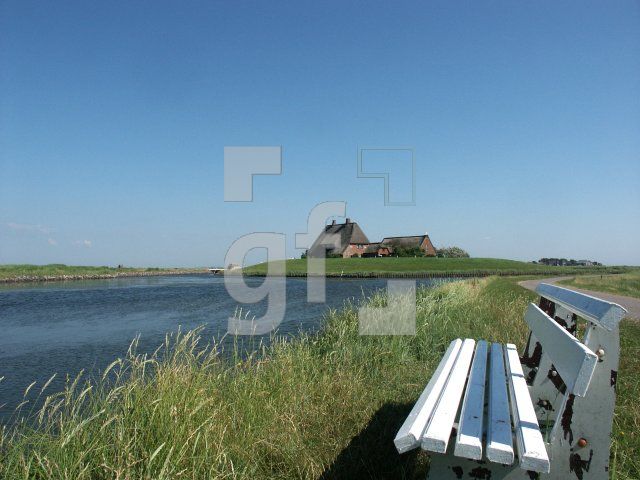 GI01_Hooge45_1313.jpg