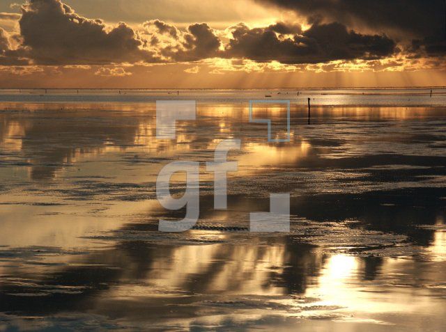 GI01_Nordsee04_1398.jpg