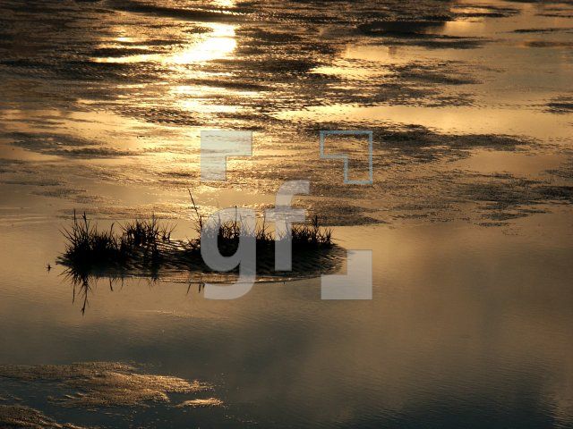 GI01_Nordsee05_1398.jpg