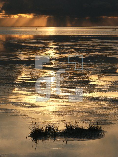 GI01_Nordsee06_1398.jpg