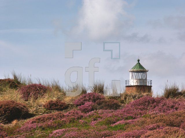 GI01_Sylt02_1324.jpg