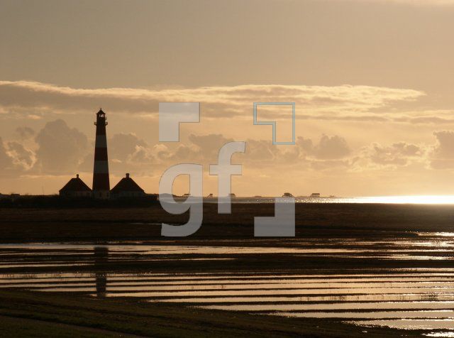 GI01_Westerhever03_1398.jpg