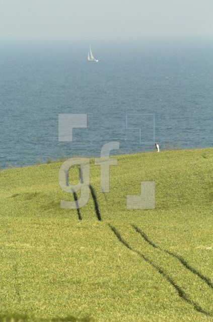 GI04_Schwedeneck02_0119.jpg