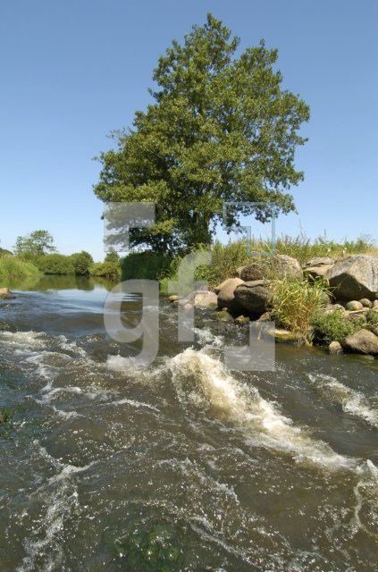 GI10_Treene18_0165.jpg