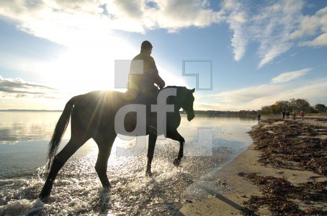 GM19_Ostsee05_0195.jpg
