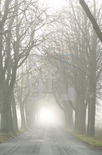 GN21_Allee03_0195.jpg
