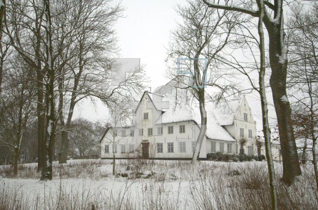 HC19_RoterHaubarg03_0115.jpg