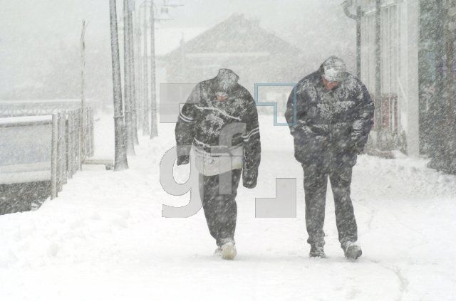 HE02_Winter03_0139.jpg