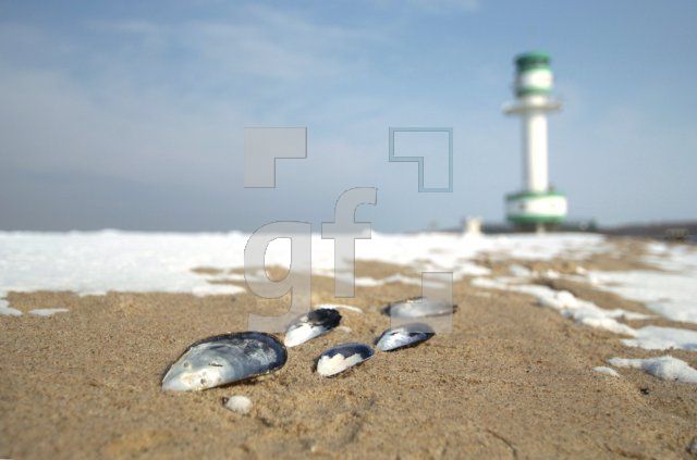 HE04_Winter10_0136.jpg