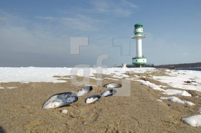 HE04_Winter11_0136.jpg