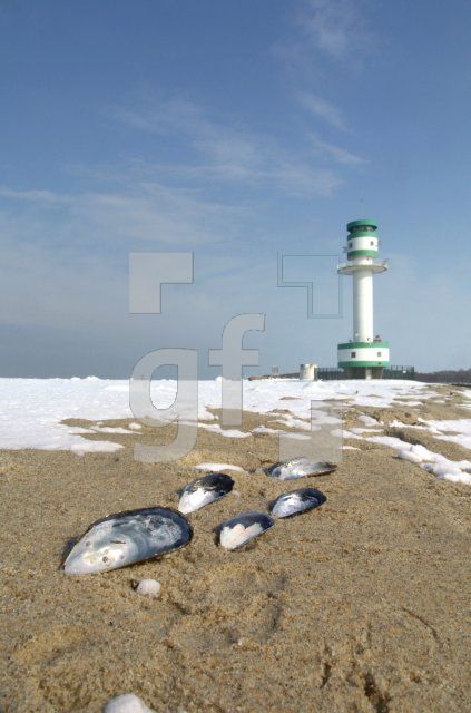 HE04_Winter12_0136.jpg