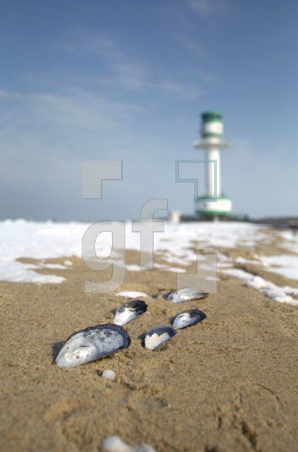 HE04_Winter13_0136.jpg