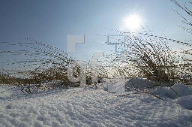 HE04_Winter17_0136.jpg