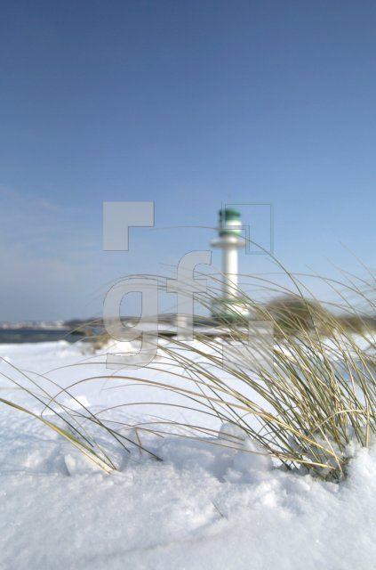 HE04_Winter19_0136.jpg