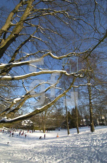 HE05_Winter07_0187.jpg