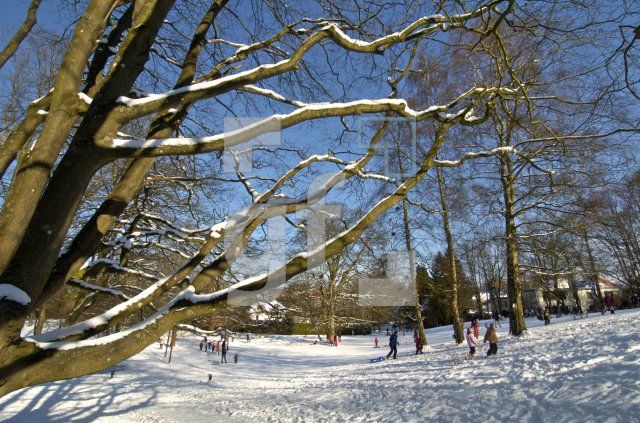 HE05_Winter08_0195.jpg