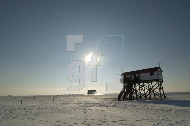 HE13_Peter04_0179.jpg