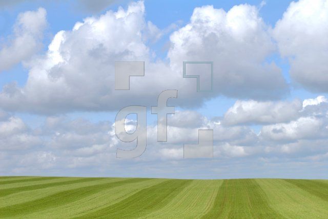 HF18_Feld04_0192.jpg