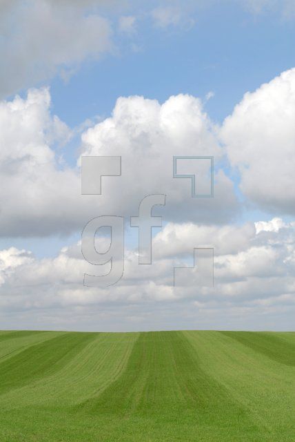 HF18_Feld05_0193.jpg