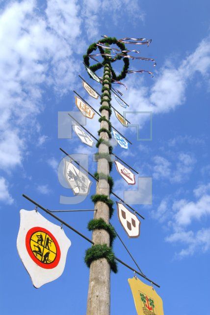 HG10_Maibaum01_0175.jpg