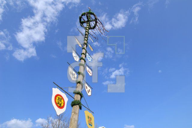 HG10_Maibaum02_0177.jpg