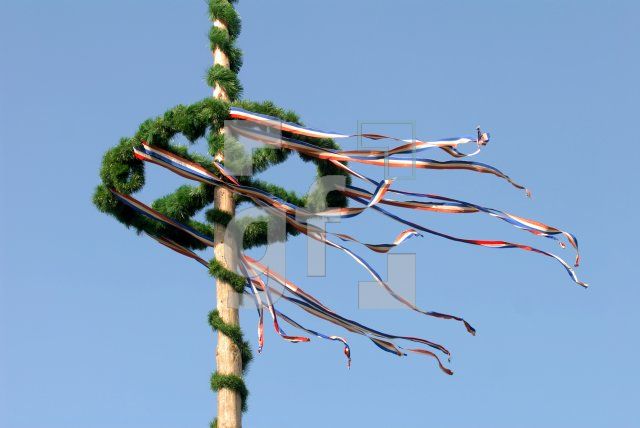 HG10_Maibaum03_0182.jpg