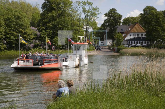 HH05_Schlei04_1348.jpg