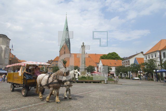 HI11_Eutin14_0121.jpg
