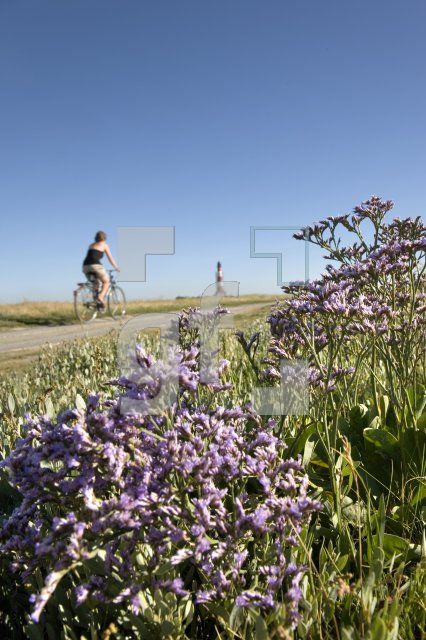 HI18_Westerhever04_1351.jpg
