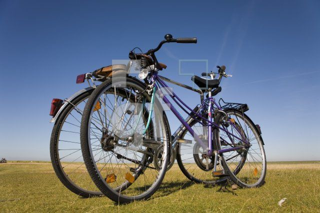 HI18_Westerhever06_1351.jpg