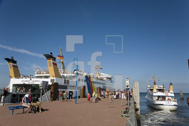 HI25_Amrum05_1358.jpg