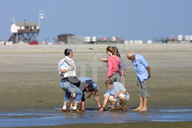 HJ06_Ording03_1481.JPG
