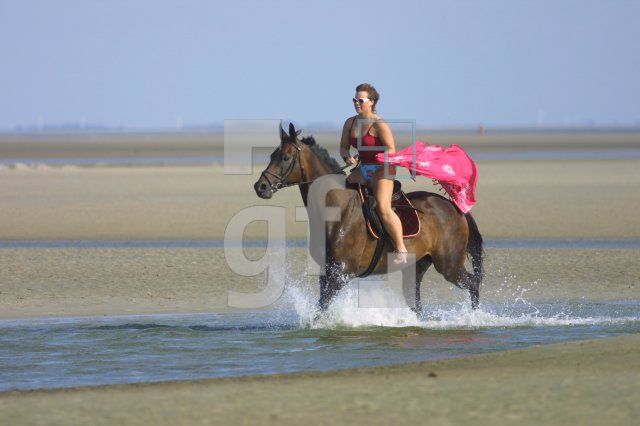 HJ06_Ording04_1445.JPG