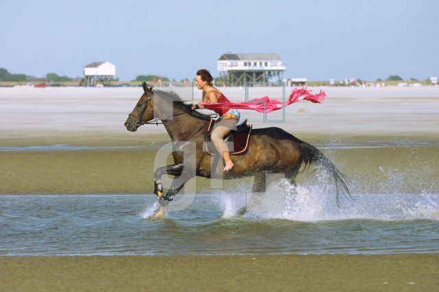 HJ06_Ording05_1485.JPG