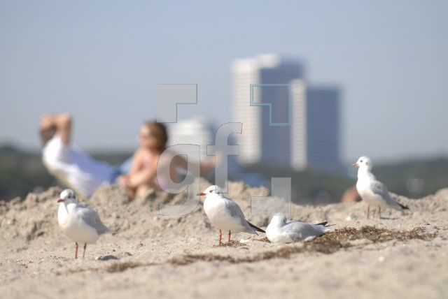 HK11_Timmendorf02_0120.JPG
