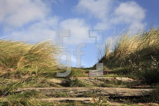 HK99_Nordsee01_1354.jpg