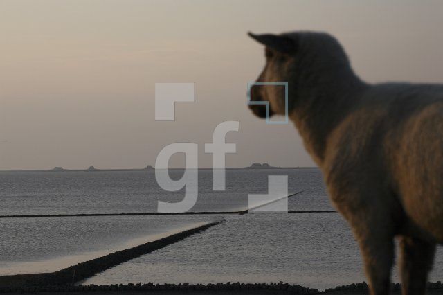 HK99_Nordstrand05_1316.jpg