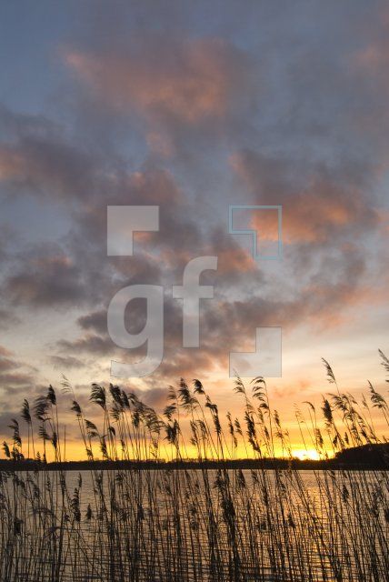 IC29_Schlei04_0107.jpg