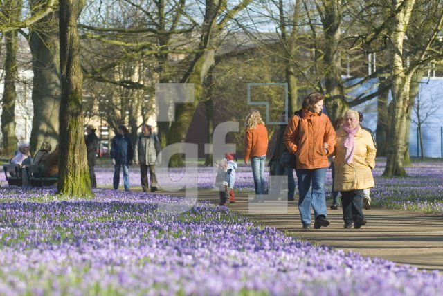 IE11_Husum01_0105.jpg
