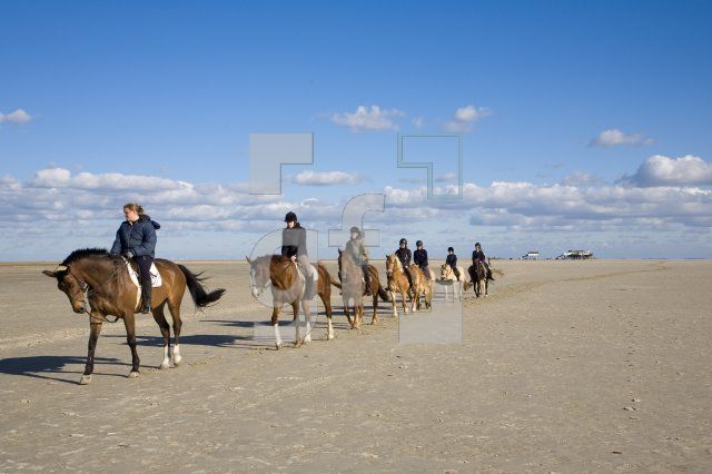 IF03_Ording01_1311.jpg