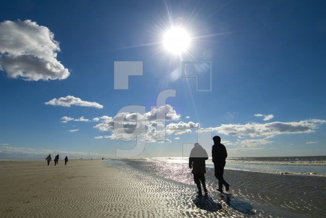 IF03_Ording27_0119.jpg