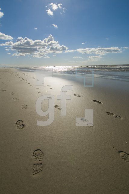 IF03_Ording33_0131.jpg