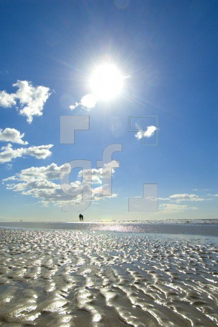 IF03_Ording40_0161.jpg