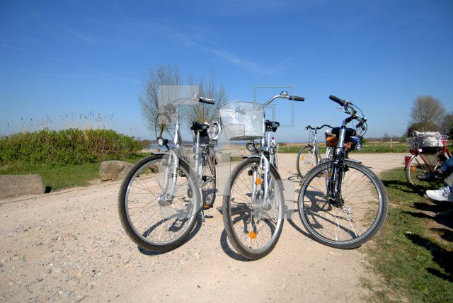 IF16_Schlei13_0136.JPG