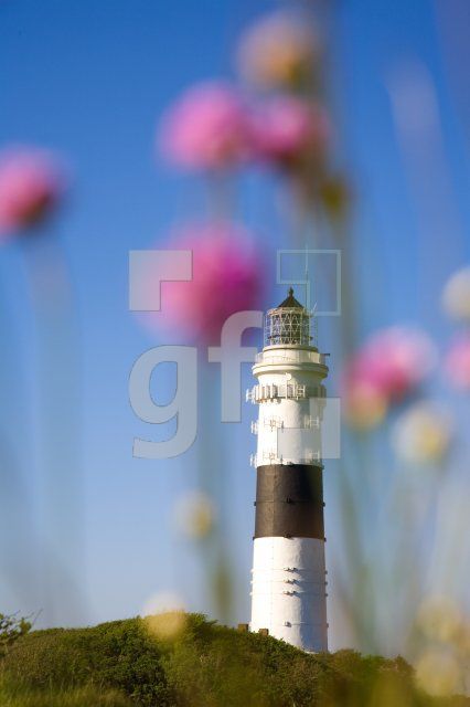 IF28_Kampen11_1311.jpg