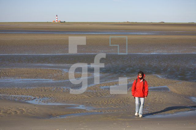 IF29_Ording11_1311.jpg
