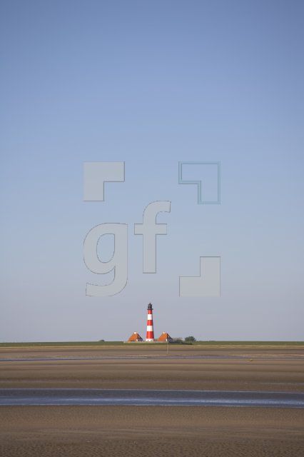 IF29_Westerhever01_1311.jpg