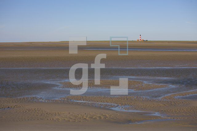 IF29_Westerhever02_1322.jpg