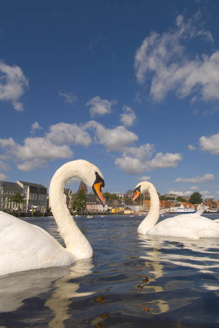 IJ01_Flensburg03_0120.jpg