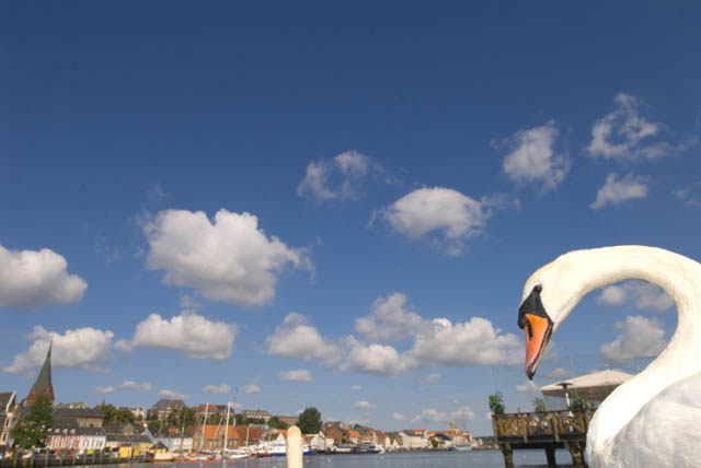 IJ01_Flensburg06_0196.jpg